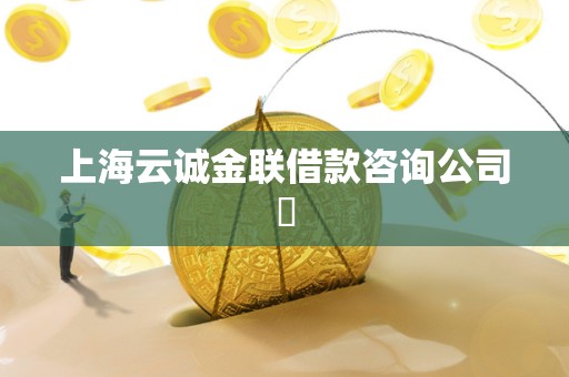 上海云诚金联借款咨询公司​