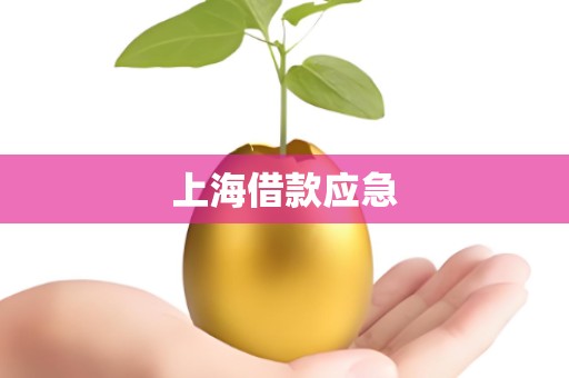 上海借款应急