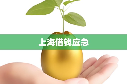 上海借钱应急