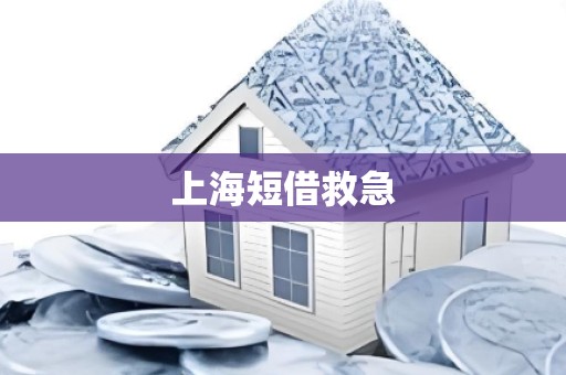 上海短借救急