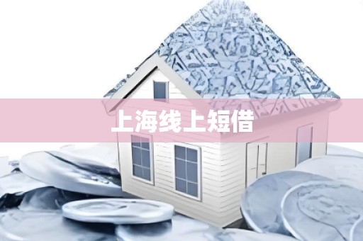上海线上短借