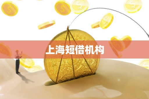 上海短借机构