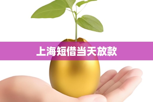 上海短借当天放款 上海短借当天放款