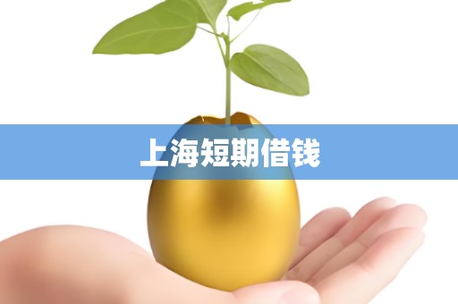 上海短期借钱