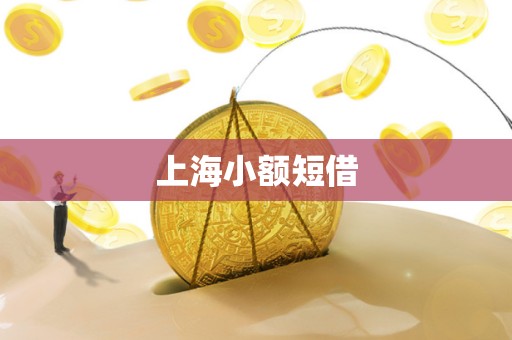 上海小额短借