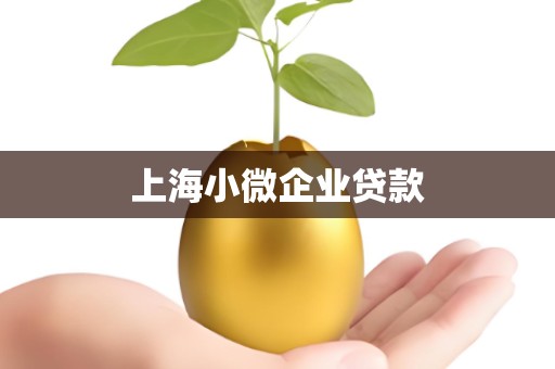 上海小微企业贷款