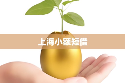 上海小额短借